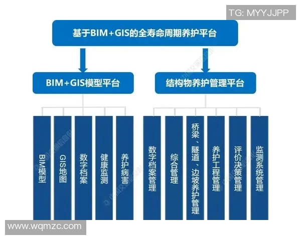 西安羽毛球队运营革新探讨:从传统模式到现代管理的转型之路