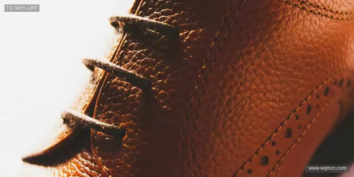 🏆 见证每一刻荣耀,体育赛事官网,让热爱永不缺席!